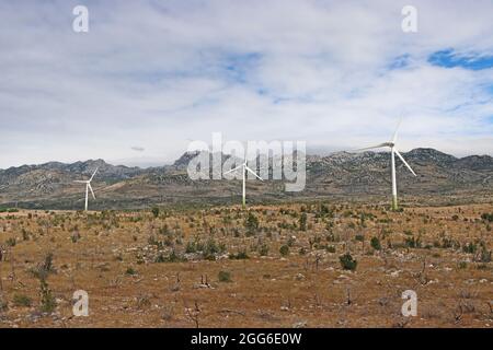 Turbine eoliche, parco eolico, vicino al carsico della regione di Velebit, zona ventosa della Croazia Foto Stock