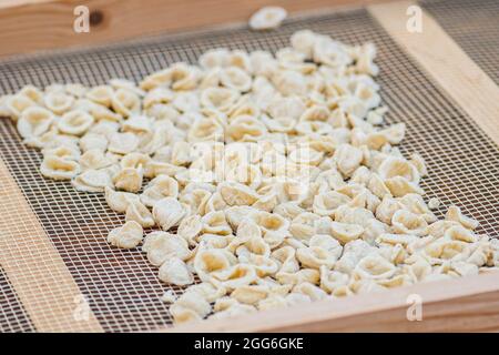 Orecchiette o orecchiette fresche, fatte con grano duro e acqua, pasta fatta a mano tipica della Puglia o della Puglia , regione del Sud Italia, da vicino Foto Stock