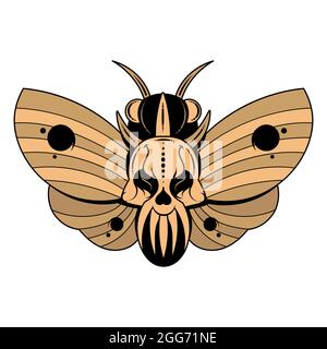 Illustrazione di una farfalla testa morta con un modello a forma di cranio sul torace. Banner vettoriale con falena realistica vicina Illustrazione Vettoriale