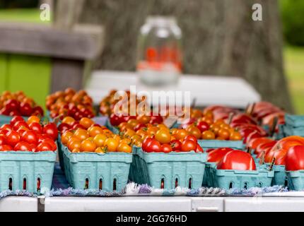 Shelter Island farm stand con pomodori Foto Stock