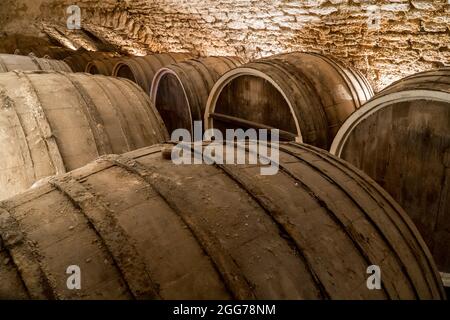 Vecchie botti di vino in una cantina. Concetto di produzione del vino Foto Stock