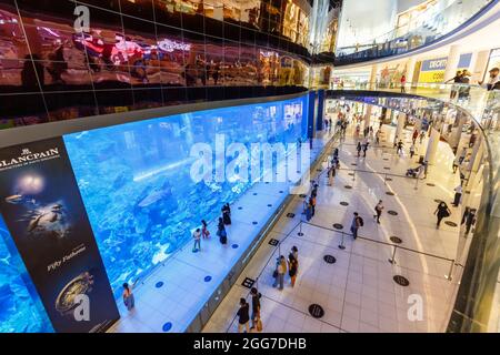 Dubai, Emirati Arabi Uniti - 27 maggio 2021: Dubai Mall Aquarium Luxury Shopping Center a Dubai, Emirati Arabi Uniti. Foto Stock