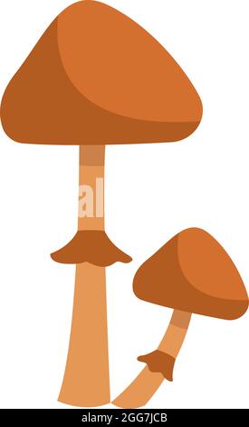 Due funghi conocybe filaris, illustrazione icona, vettore su sfondo bianco Illustrazione Vettoriale
