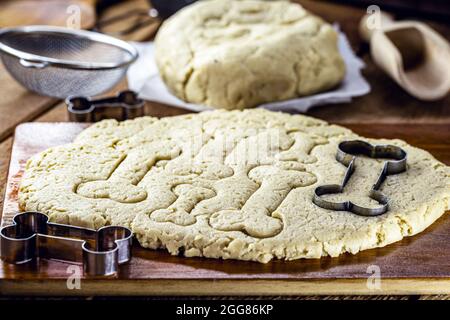 biscotti fatti in casa per spuntini del cane, biscotti dell'animale domestico fatti con i prodotti biologici Foto Stock