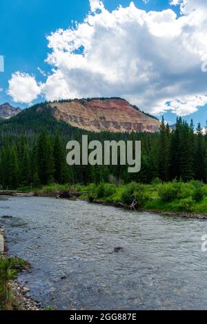 Soda Butte Creek scorre attraverso le montagne di Absaroka nel Parco Nazionale di Yellowstone Foto Stock