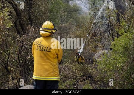 29 agosto 2021, non Incorporated San Diego e Riv, California, Stati Uniti d'America: Due vigili del FUOCO di CAL estinguono un punto caldo che fa parte del fuoco di Chaparral che brucia nelle contee di San Diego e Riverside. Il fuoco iniziò subito dopo mezzogiorno del 28 agosto, e la mattina del 29 aveva bruciato 1,425 acri ed era contenuto al 10%. (Credit Image: © David Barak/ZUMA Press Wire) Foto Stock