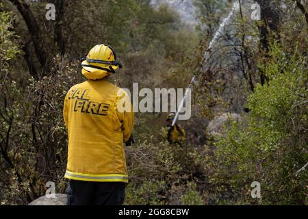 29 agosto 2021, non Incorporated San Diego e Riv, California, Stati Uniti d'America: Due vigili del FUOCO di CAL estinguono un punto caldo che fa parte del fuoco di Chaparral che brucia nelle contee di San Diego e Riverside. Il fuoco iniziò subito dopo mezzogiorno del 28 agosto, e la mattina del 29 aveva bruciato 1,425 acri ed era contenuto al 10%. (Credit Image: © David Barak/ZUMA Press Wire) Foto Stock