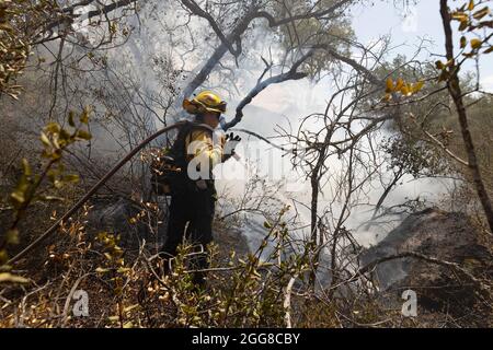 29 agosto 2021, non Incorporated San Diego and Riv, California, USA: Un vigile del fuoco di CAL estingue un punto caldo che fa parte del fuoco di Chaparral nelle contee di San Diego e Riverside. Il fuoco iniziò subito dopo mezzogiorno del 28 agosto, e la mattina del 29 aveva bruciato 1,425 acri ed era contenuto al 10%. (Credit Image: © David Barak/ZUMA Press Wire) Foto Stock