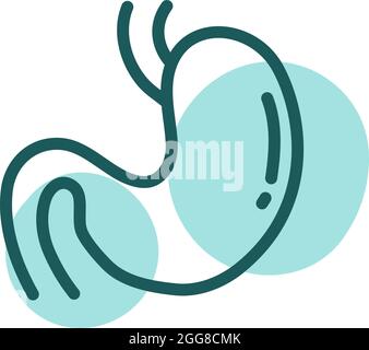 Stomaco blu, illustrazione, vettore su sfondo bianco. Illustrazione Vettoriale