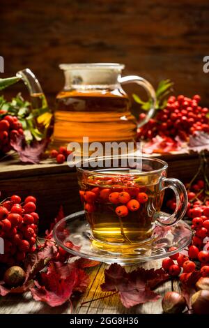 Tè caldo in tazza di vetro con rowan e decorazioni d'autunno. Messa a fuoco selettiva. Profondità di campo ridotta. Foto Stock