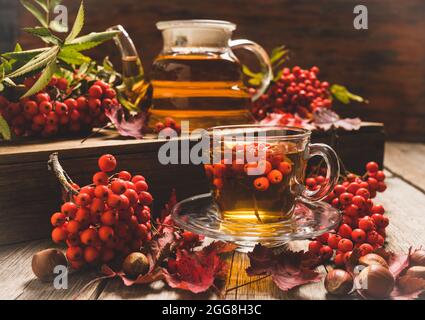 Tè caldo in tazza di vetro con rowan e decorazioni d'autunno. Messa a fuoco selettiva. Profondità di campo ridotta. Foto Stock