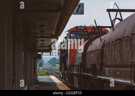 CN Freight treni che trasportano merci - 3 Foto Stock