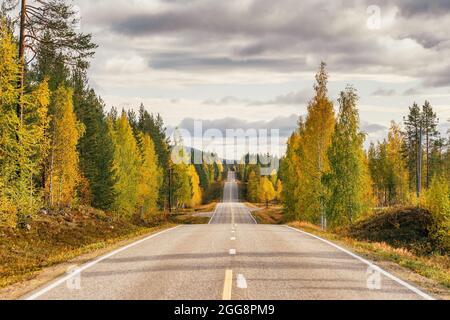 Autostrada nella bella foresta d'autunno nella Finlandia rurale Foto Stock