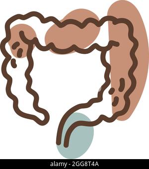 Intestino umano, illustrazione, vettore, su sfondo bianco. Illustrazione Vettoriale