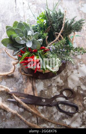 Prodotto del giardino, mazzo di erbe essenziali per la cucina mediterranea Foto Stock