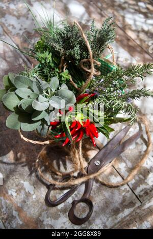 Prodotto del giardino, mazzo di erbe essenziali per la cucina mediterranea Foto Stock