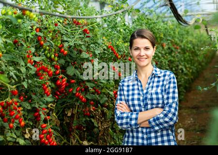 Donna contadina con pomodori ciliegini in serra Foto Stock