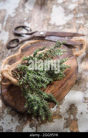 Prodotto del giardino, mazzo di timo essenziale per la cucina mediterranea Foto Stock
