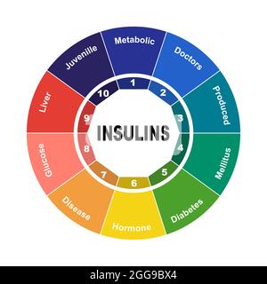 Schema con testo insulina e parole chiave. EPS 10 isolato su sfondo bianco Illustrazione Vettoriale