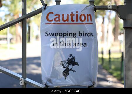 Attenzione Swooping uccelli in questa zona segno sulle porte della Australian Catholic University, Mount St Mary Campus, 25A Barker Rd, Strathfield NSW 2135 Foto Stock