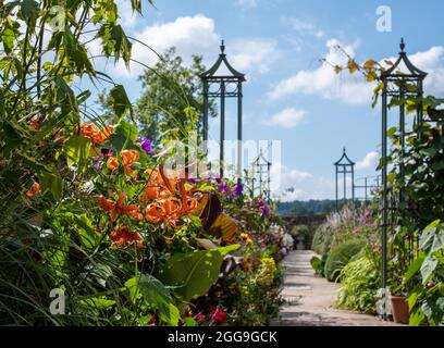 Gigli e altri fiori che crescono nel giardino formale a Bourton House Garden, Bourton-on-the-Hill nel Cotswolds, Gloucestershire, Regno Unito Foto Stock