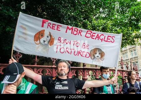 LONDRA, INGHILTERRA- 28 agosto 2021: La ribellione animale protesta per liberare le aquile MBR Foto Stock