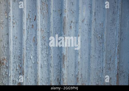 Vernice blu scagliante su una porta di legno che mostra la consistenza della vernice Foto Stock