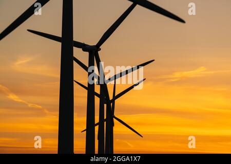 Generatori di energia di turbine eoliche su una fattoria eolica Foto Stock