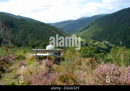 Pen-y-Bryn Viewpoint Aberllefenni Foto Stock