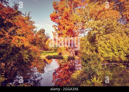 Foglie autunnali in Francia. Colori autunnali paesaggio, riflessi in un laghetto Foto Stock