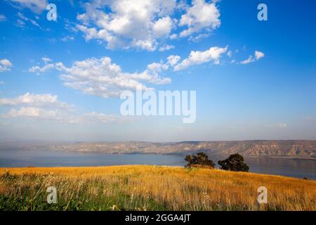 Israele, bassa Galilea paesaggio, che si affaccia sul mare di Galilea fotografato da Poria Illit. Golan Heights sullo sfondo Foto Stock