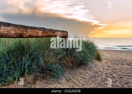 Ingresso alla spiaggia del Mar Baltico lungo una ringhiera di legno e l'erba alta, una spiaggia di sabbia al tramonto, Polonia Mar Baltico, Darłowo Foto Stock