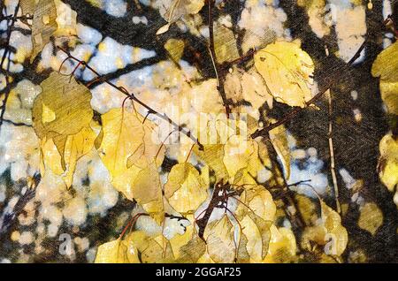 Albicocca con foglie gialle. Rami di un albero di frutta con foglie autunnali in caduta. Pittura digitale ad acquerello. Arte contemporanea Foto Stock