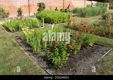 Aiuole con fiori che fioriscono nel giardino inglese formale presso i giardini murati a Croome Court, Worcestershire, Regno Unito Foto Stock