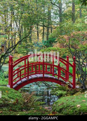 Ponte rosso tradizionale giapponese in un colorato giardino autunnale Foto Stock