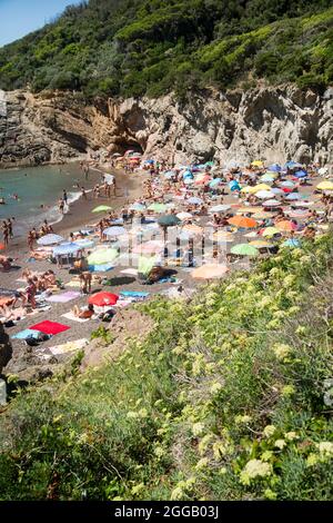 Baia dei leoni, spiaggia sulla costa toscana vicino a Livorno città Italia Foto Stock