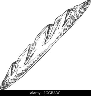 Vector French Bakery Sketch. Illustrazione disegnata a mano di un pane di Baguette di grano bianco. Isolato Illustrazione Vettoriale