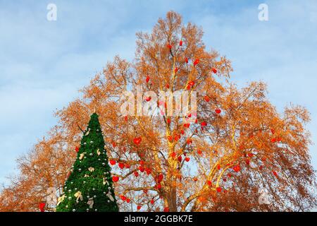 Alberi decorati per Natale a Vienna. Cuori decorativi appesi sull'albero, decorazione di Natale Foto Stock