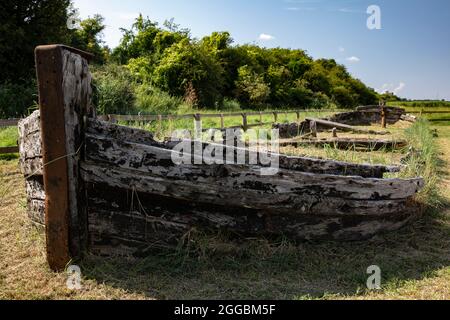 Slimbridge e Sharpness Canal Foto Stock