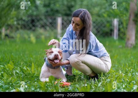 Giovane femmina che accarezza il terrore americano pitbull sull'erba nel parco. Buon cucciolo a bocca aperta Foto Stock