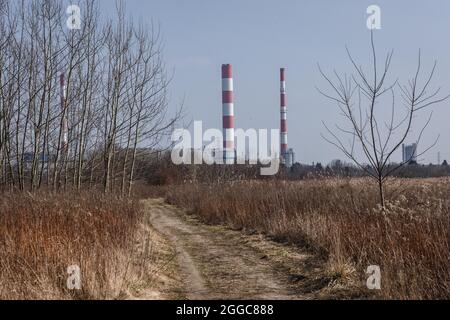 Camini della centrale elettrica di Siekierki nella città di Varsavia, Polonia, vista dal lago di Czerniakowskie Riserva Naturale Lago Foto Stock