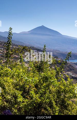 La vista verticale della città sulla collina è visibile attraverso rami di alberi e una montagna sullo sfondo Foto Stock