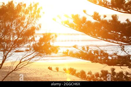 Una vista attraverso alberi dalle sagome alle onde dolci a Oxley Beach Port Macquarie sulla Mid North Coast del NSW Australia. Alba di mattina presto oro h Foto Stock