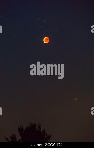 luna rossa dell'eclissi lunare totale 2018 con le maree e una silhouette di un albero in primo piano Foto Stock