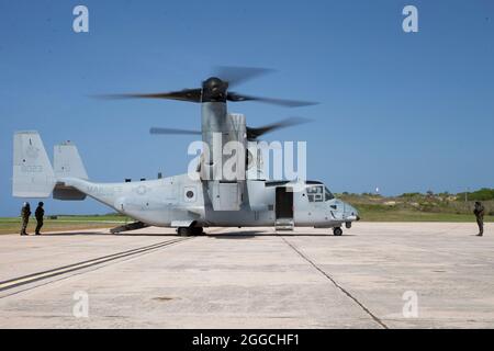 Stati Uniti Marines con Marine Medium Tiltrotor Squadron 266, 2a Ala Marina Aircraft, II Marine Expeditionary Force, prepararsi per un volo ad Haiti in un MV-22B Osprey a sostegno della Joint Task Force-Haiti per una missione di assistenza umanitaria e soccorso in caso di calamità nella Naval Station Guantanamo Bay, Cuba, 25 agosto 2021. (STATI UNITI Foto del corpo marino di CPL. Yuritzy Gomez) Foto Stock