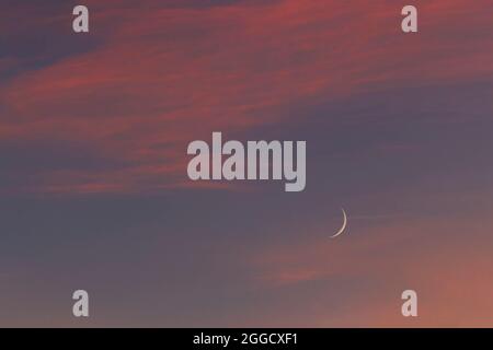 Ceretta Crescent Moon e sera bagliore per l'uso di fondo Foto Stock