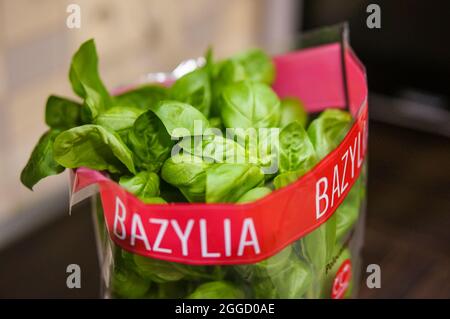 POZNAN, POLONIA - 27 maggio 2016: Il basilico verde fresco in un sacchetto di plastica Foto Stock