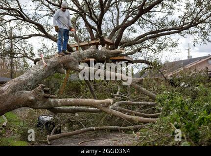 Houma, Stati Uniti. 30 ago 2021. Un albero è visto rovesciato dall'uragano Ida a Houma, Louisiana, Stati Uniti, 30 agosto 2021. Con le persone in difficoltà in attesa di salvataggio su tetti danneggiati, strade allagate bloccate da alberi abbattuti e linee elettriche, e oltre un milione di persone senza potere fino a lunedì mattina, l'uragano Ida ha devastato ampiamente dalla sua caduta nella regione meridionale degli Stati Uniti, la Louisiana, la domenica. Credit: Nick Wagner/Xinhua/Alamy Live News Foto Stock