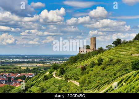 Vista sulla collina delle fortune di Odenwald con rovine del castello tedesco e ristorante chiamato Strahlenburg nella città di Schriesheim Foto Stock