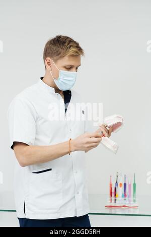 Dentista che mostra la corretta igiene dentale utilizzando mock-up di scheletro di denti. Medico stomatologo che spiega la corretta igiene dentale per il paziente che tiene un campione di mandibola umana con spazzolino da denti. Foto Stock